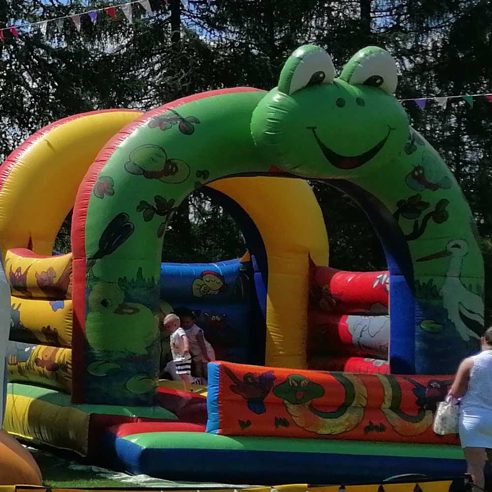 zamek dmuchany żabka dmuchańce lublin rzeszów kielce, warszawa poniatowa opole lubelskie, puławy